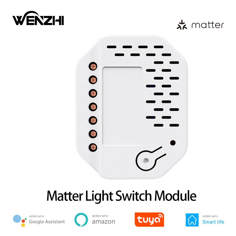 Smart Home Matter - Matter Light Switch Module 2Gang Relay