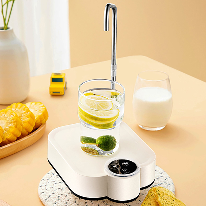 Smart Electric Water Pump Rech - đánh giá và giá Smart Home Yam Pounder