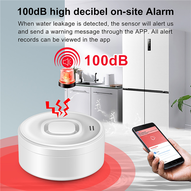 Smart WIFI Water Leak Detector - đánh giá và giá Wifi Water Sensor