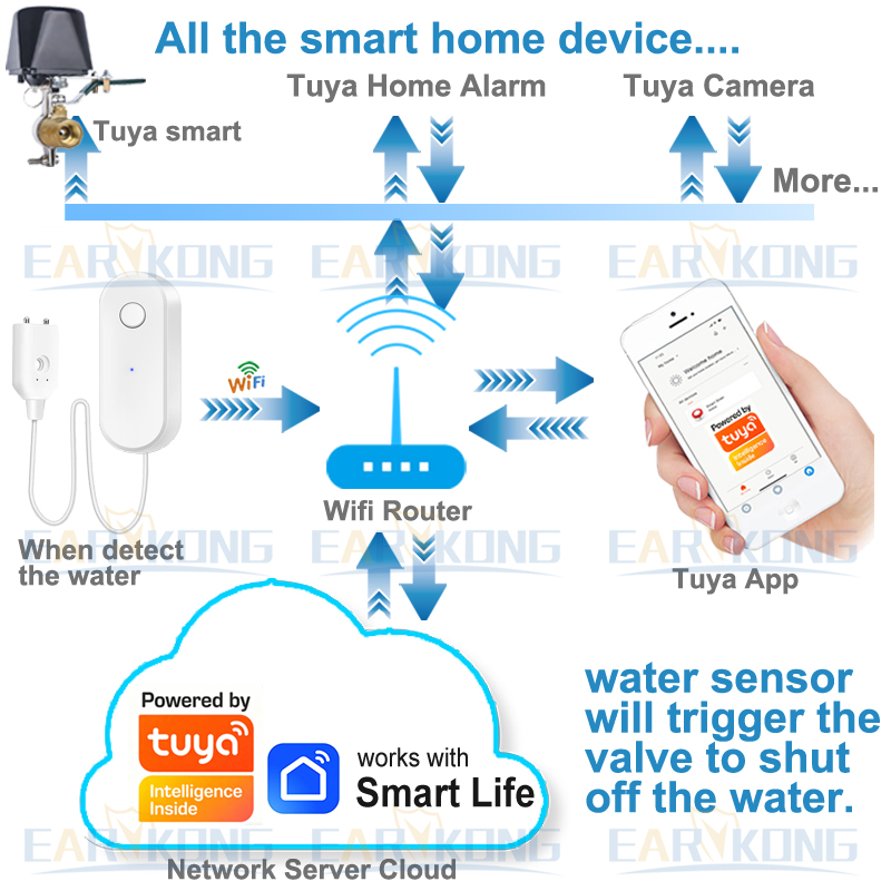 Tuya WiFi Smart Water Leak Sen - đánh giá và giá Wifi Water Sensor
